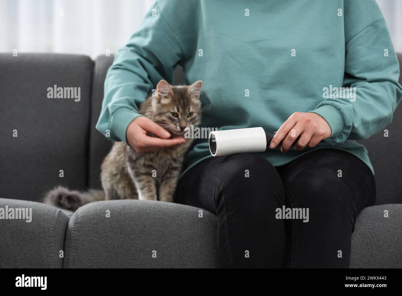 Pet shedding. Woman with lint roller removing cat`s hair from trousers